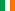 irlandês